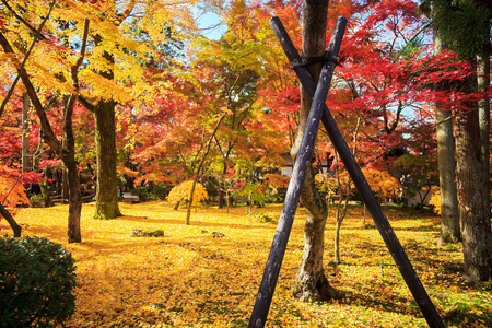 阿希村，长野县，日本的 kojyoin tsukimido