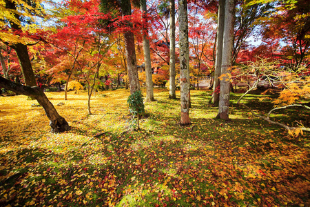 阿希村，长野县，日本的 kojyoin tsukimido