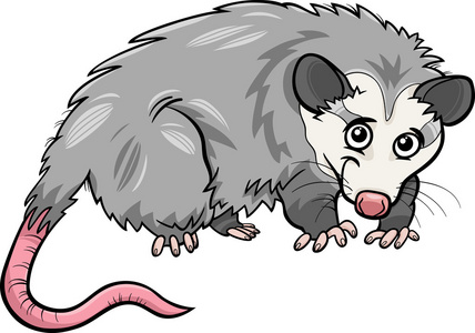 负鼠动物卡通插图