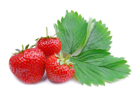 草莓白底隔离