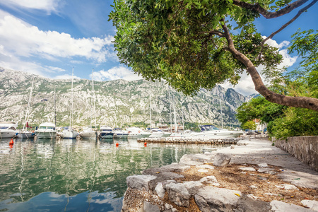 一个小海湾，小船