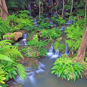 热带花园的小瀑布