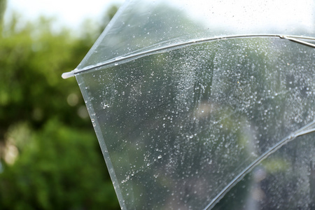 对自然背景下的湿透明雨伞