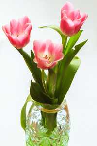 绿色水晶花瓶里的三个粉色郁金香花束
