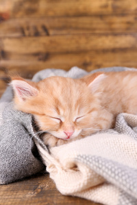 可爱小猫红色睡在柔软的格子，木制的背景上