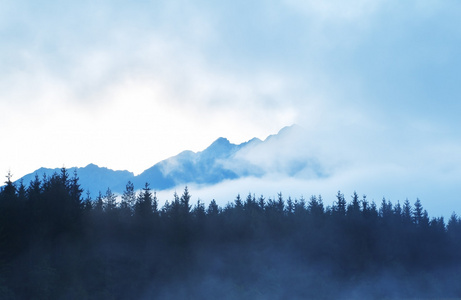 在晨雾中的山剪影