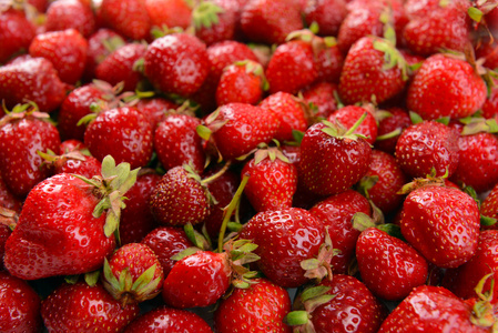 甜草莓成熟特写
