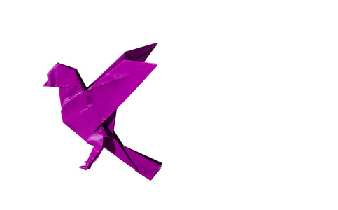 孤立的白色衬底上的粉红色紫色折纸鸟罗宾