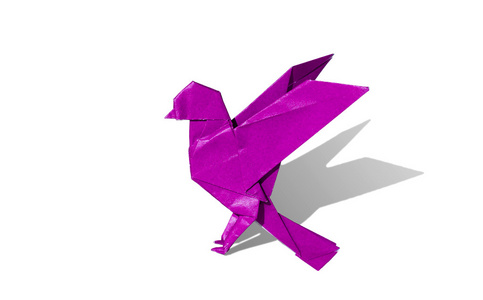孤立的白色衬底上的粉红色紫色折纸鸟罗宾