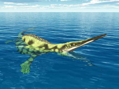 海生爬行动物 hupehsuchus