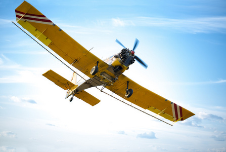 橙色的白色滑翔机图片