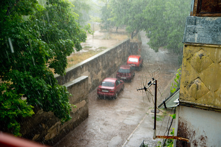 夏日的雨