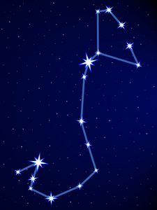 摩羯星座图图片