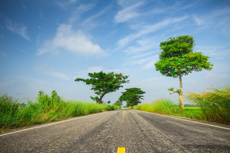 在泰国清莱的道路