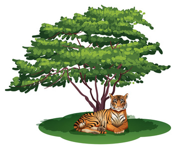 一只老虎在树下