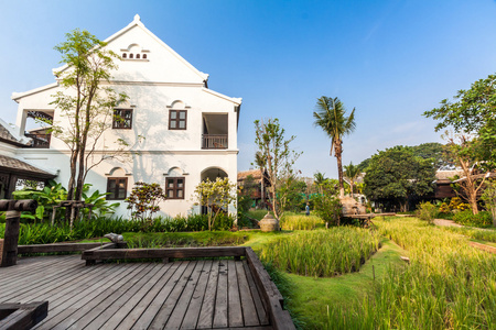 绿色稻田中的别墅里，泰国