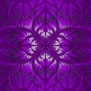 在紫色的叶子的对称图案。收藏树 f