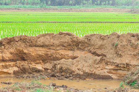 由于水土流失照片