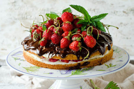 冰淇淋 草莓和巧克力的海绵蛋糕