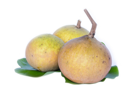 在白色背景上的 santol 水果