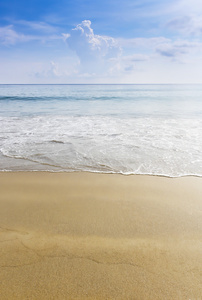 海滩和热带海