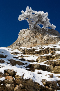 在山中雪