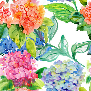 紫阳花图片 紫阳花素材 紫阳花插画 摄图新视界