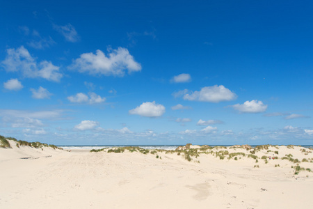 沙丘和海滩