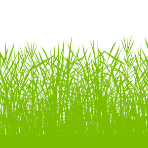 草，野生植物详细剪影图背景