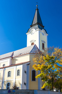 教会的众圣徒，libochovice