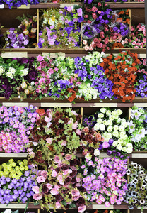 彩色织物在花店里的花