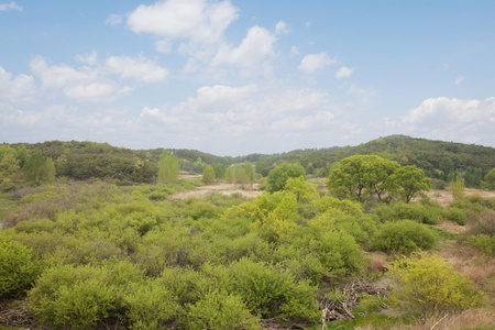 在韩国景观