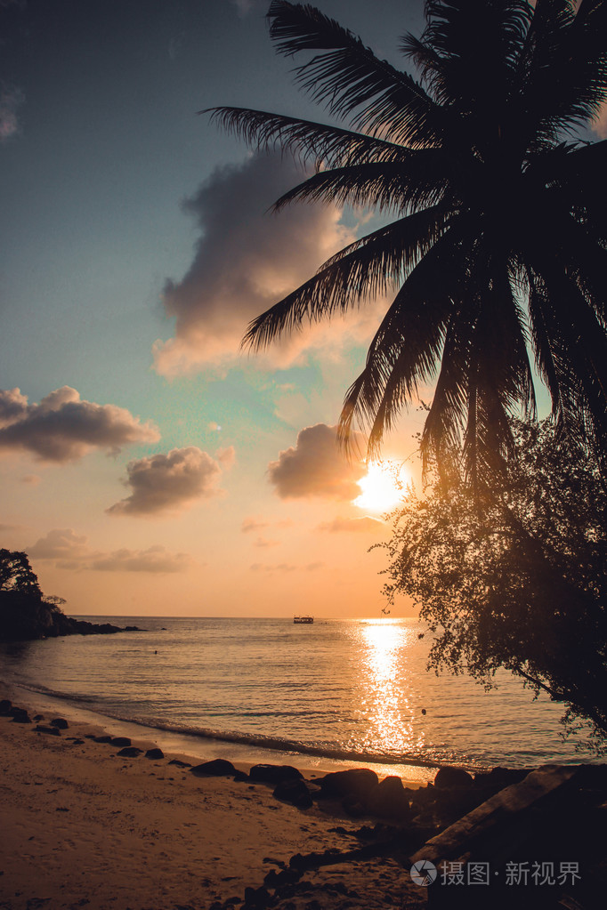 美丽的夕阳,在热带的海滩和棕榈树.帕岸岛照片-正版商用图片1fzzcd-摄