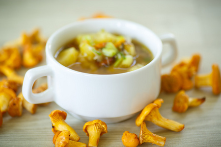 蘑菇菇炒的蔬菜汤