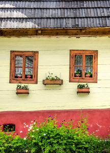 色彩丰富的窗户，上面放着旧传统房子花的细节