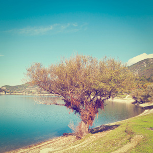 湖泊风景