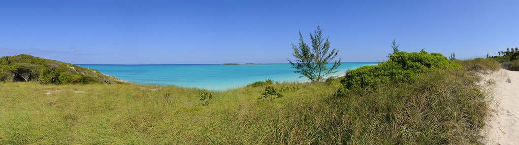 热带海滩全景