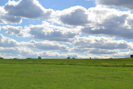绿草田和蓝蓝的天空，云