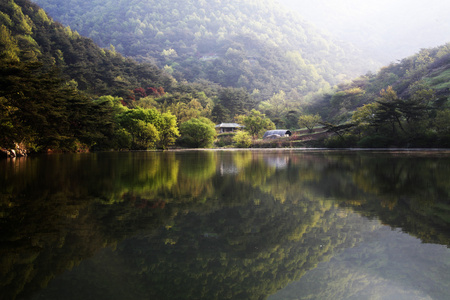 美丽的春天风景