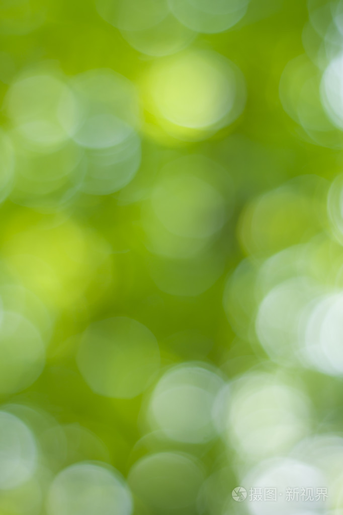 柔和的绿色天然bokeh背景