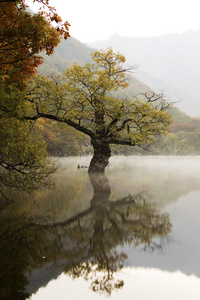 秋天风景与美丽的 jusanji 湖