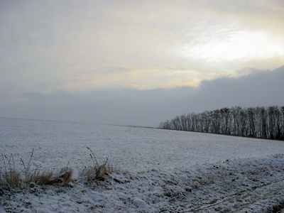 冬季的播种田图片