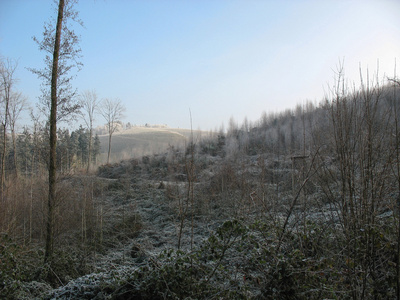 冬季的森林和乡村