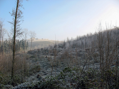 冬季的森林和乡村