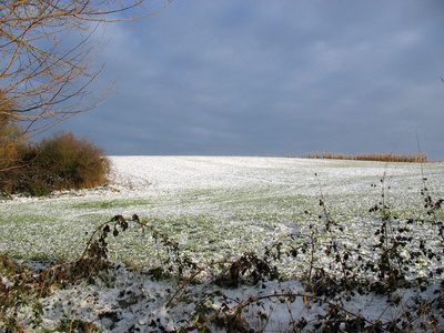 冬季的播种田图片