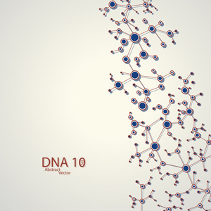 结构的 dna eps10