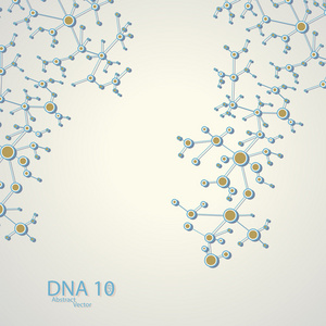 结构的 dna eps10