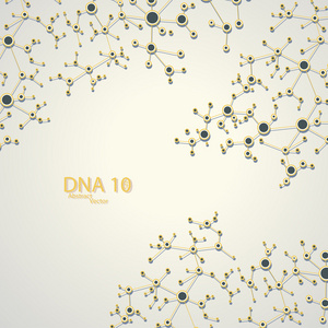 结构的 dna eps10