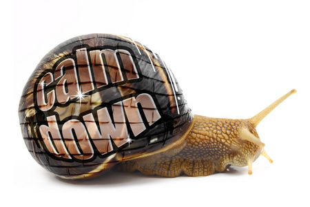 蜗牛与孤立其外壳上的平静下来消息