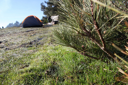 野营区的帐篷